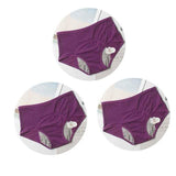 AzyShopy Culotte Menstruelle Lavable, ensemble de 3 pièces 3Pcs Violet / XXL(Waist74-80cm)